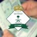 أكثر من 12 ألف قرار إداري بحق مخالفين لأنظمة الإقامة والعمل