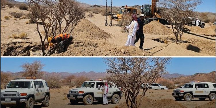 استغرقت نحو 4 أشهر.. نقل دقيق لأشجار معمّرة بالمدينة المنورة لحمايتها ضمن مشاريع الغطاء النباتي
