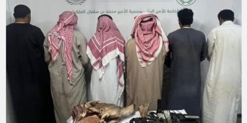 القبض على 6 مخالفين لارتكابهم مخالفة صيد الوعل البري بمحمية الأمير محمد بن سلمان الملكية