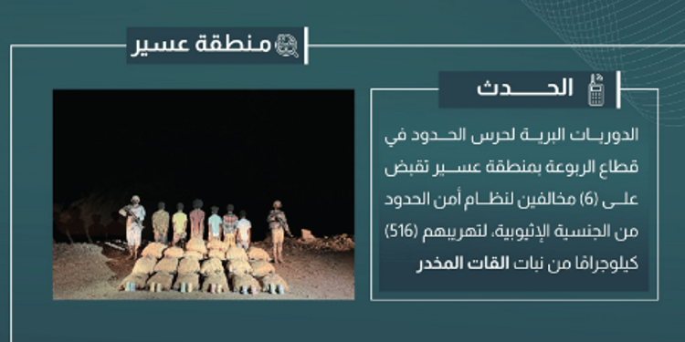 القبض على 6 مخالفين لتهريبهم 516 كيلوجرامًا من القات المخدر في عسير