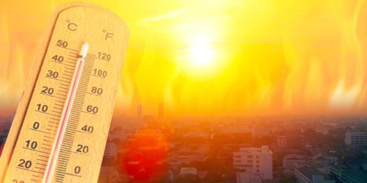المسند يوضح خطأ شائعًا حول الصيف ويكشف سبب تفاوت درجات الحرارة بين الفصول