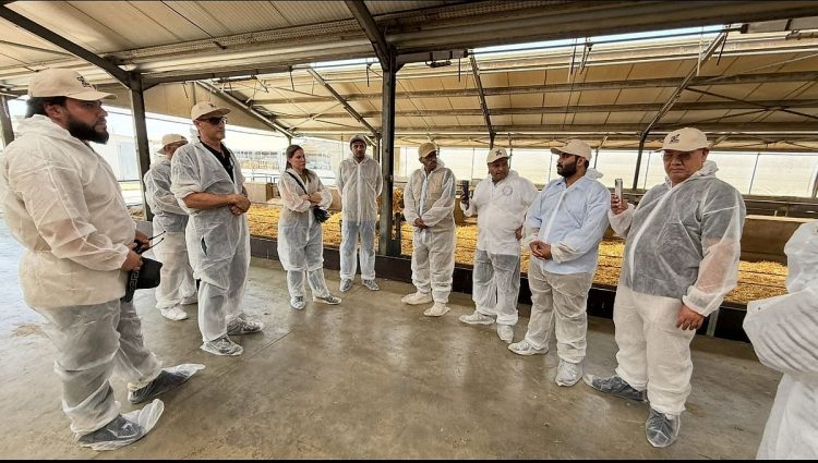 «برنامج تطوير الثروة الحيوانية والسمكية» يوجه بوصلة المستثمرين نحو التجربة اليونانية