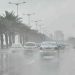 بعد أمطار خففت حدة الجفاف الربيعي.. مزارعو ألمانيا يأملون في حصاد متوسط