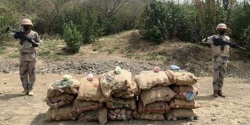 حرس الحدود بجازان يقبض على 8 مخالفين لتهريبهم 160 كيلوجرامًا من القات المخدر