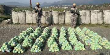 حرس الحدود بمنطقة جازان يقبض على (12) مخالفًا لنظام أمن الحدود لتهريبهم (380) كيلوجرامًا من نبات القات المخدر
