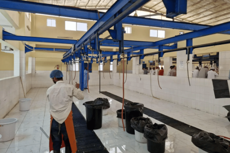 مسالخ نجران تستقبل أكثر من 6594 أضحية خلال أيام عيد الأضحى