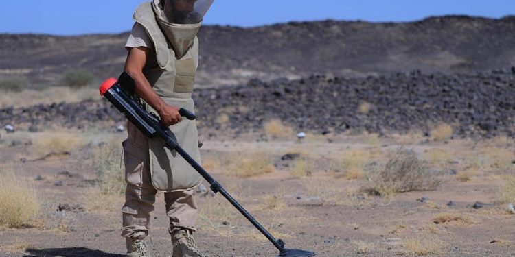 مشروع «مسام» ينزع 1.243 لغمًا من الأراضي اليمنية خلال أسبوع