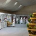 مهرجان “المانجو الرابع” في أملج يختتم فعالياته بأكثر من 14 ألف زائر