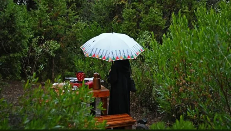 أمطار الجوزاء تبهج زوار عسير.. ولوحات الضباب تستقبلهم