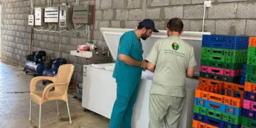 "بيئة الخرج" تضبط مسلخ دواجن عشوائي