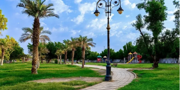 أمانة الجوف تهيئ 452 ألف متر مربع من الحدائق والمسطحات الخضراء