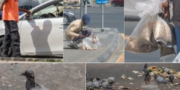 أمانة العاصمة المقدسة تحث على عدم إلقاء الخبز على الأرصفة