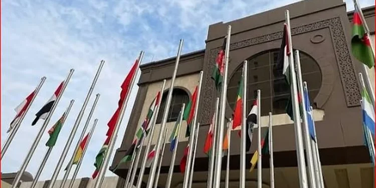 «التعاون الإسلامي» تدين استمرار العدوان الإسرائيلي على الأراضي السورية