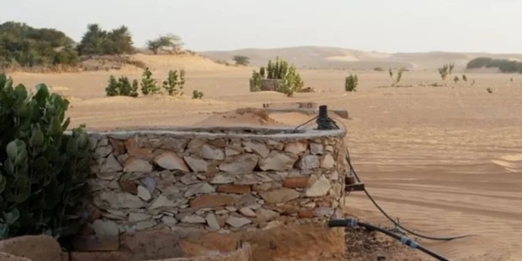 «الجريدة الرسمية» تنشر قرار ضوابط إصدار رخص حفر الآبار الجديدة على الرف الرسوبي
