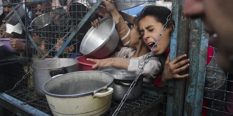 الصليب الأحمر: ما دخل من مساعدات إلى غزة نقطة في بحر الاحتياجات
