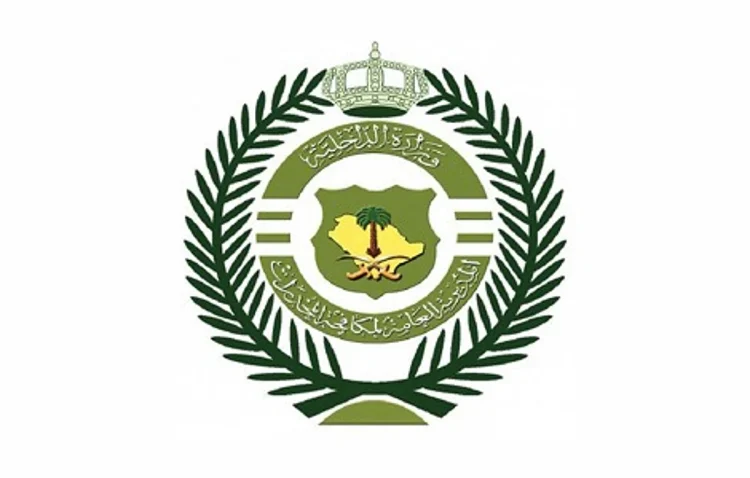 القبض على شخص بمنطقة الحدود الشمالية لترويجه أقراصًا خاضعة لتنظيم التداول الطبي