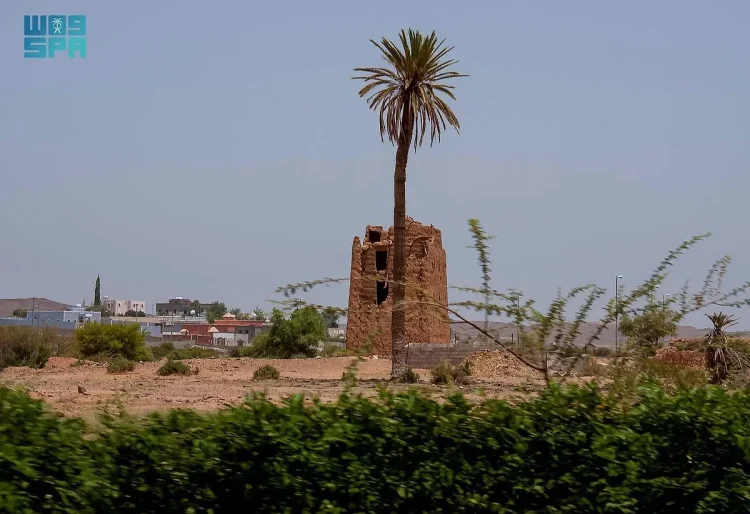  بدر الجنوب.. وجهة سياحية تنبض بالحياة والجمال   