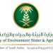 “بيئة الطائف” تطلق فعاليات لتشجيع الممارسات الزراعية السليمة والمستدامة