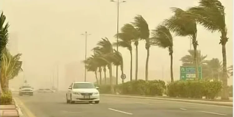 طقس الأربعاء.. هطول أمطار رعدية ورياح مثيرة للأتربة على عدة مناطق