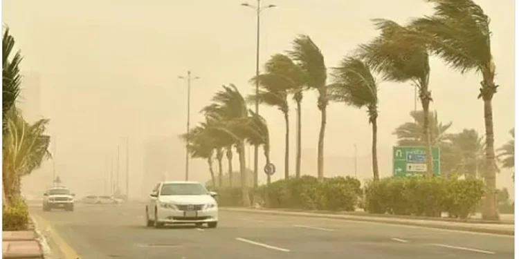 طقس المملكة الثلاثاء.. ارتفاع في درجات الحرارة العظمى ونشاط للرياح على عدة مناطق