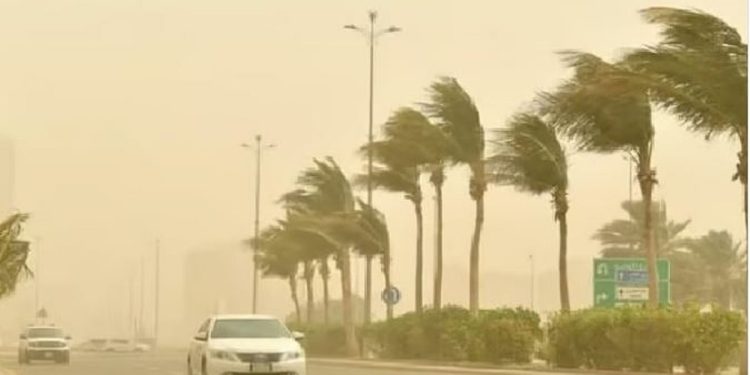 طقس المملكة الثلاثاء.. حار إلى شديد الحرارة ورياح نشطة على عدة مناطق
