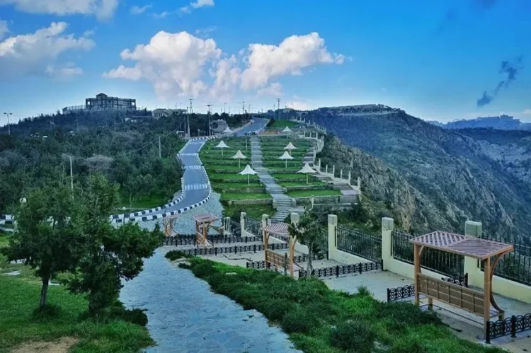 غابة رغدان.. وجهة راقية لزوار وسكان الباحة

 