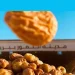 كرنفال بريدة للتمور ينطلق بأنشطة وفعاليات متنوعة الجمعة المقبل