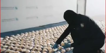 متحدث «الزكاة والضريبة»: المنافذ الجمركية بكوادرها وتقنياتها الأمنية تحبط كافة محاولات التهريب