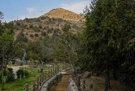 متنزه الأمير مشاري في بني حسن.. وجهة سياحية بارزة