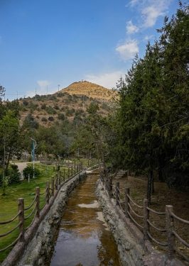 متنزه الأمير مشاري في بني حسن.. وجهة سياحية بارزة