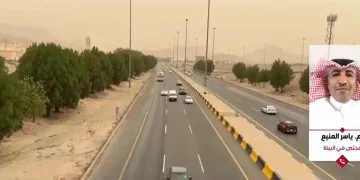 مختص: مبادرتا «السعودية الخضراء» و «الشرق الأوسط الأخضر» أسهمتا بتخفيض الحالات الغبارية