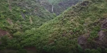 مختص يوضح أبرز وجهات السياحة الجبلية في المملكة