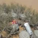 مشروع مركز الملك سلمان للإغاثة “مسام” ينزع (1.493) لغمًا في الأراضي اليمنية خلال أسبوع