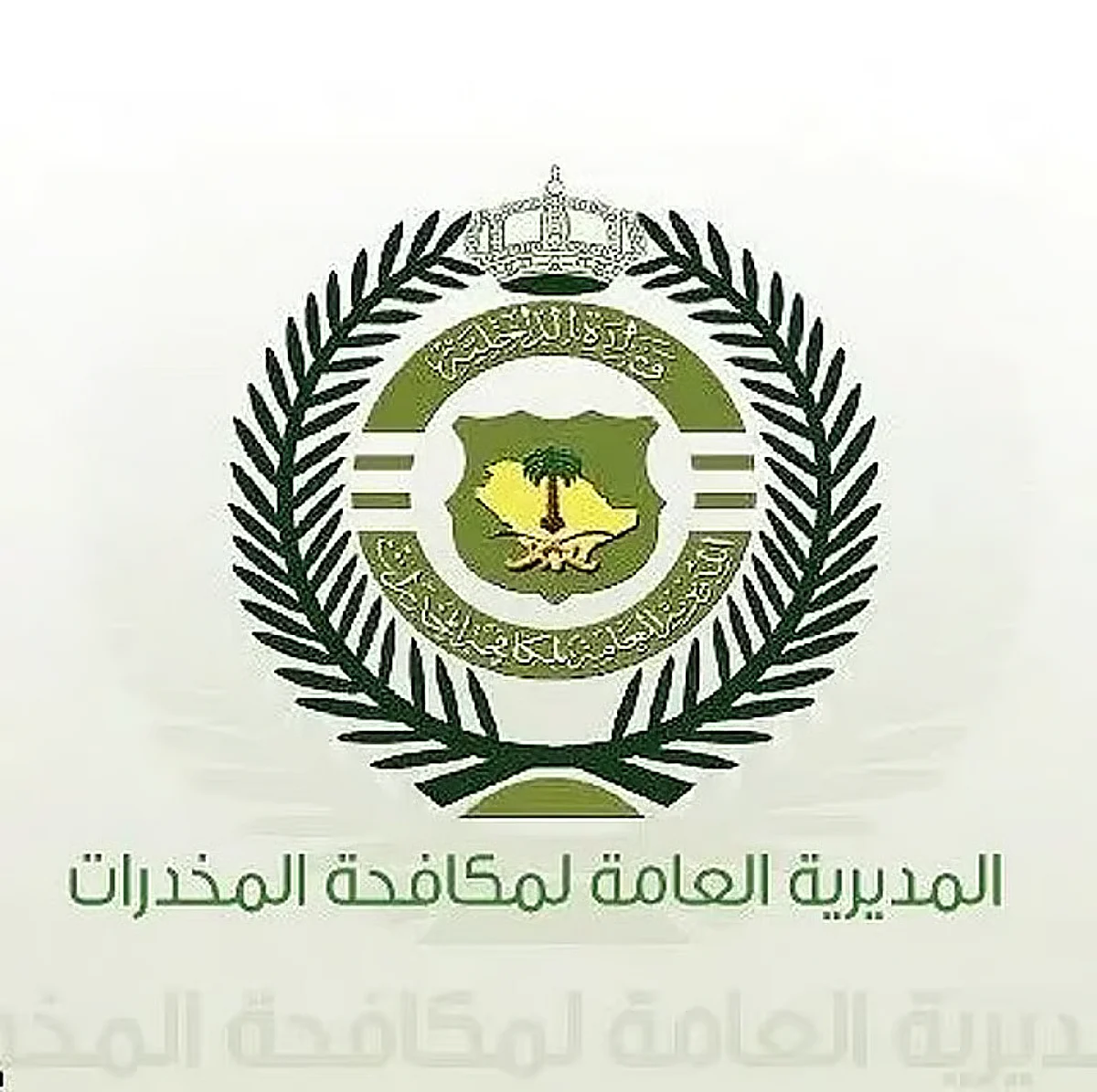«مكافحة المخدرات» تقبض على شخصين بمنطقة عسير لترويجهما مواد مخدرة
