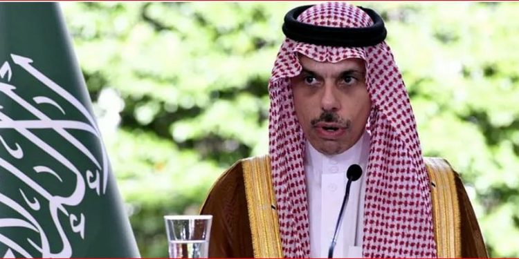 وزير الخارجية يبحث القضايا الإقليمية والعلاقات المشتركة مع نظيره المصري