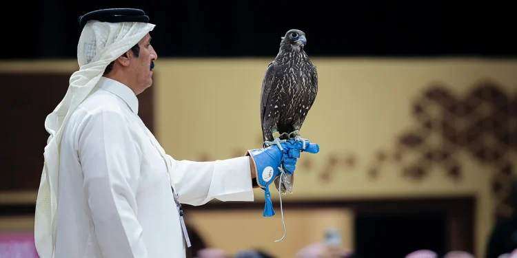 بيع صقرين بـ180 ألف ريال في الليلة الأولى لمنصة المزاد الدولي لمزارع إنتاج الصقور 2025