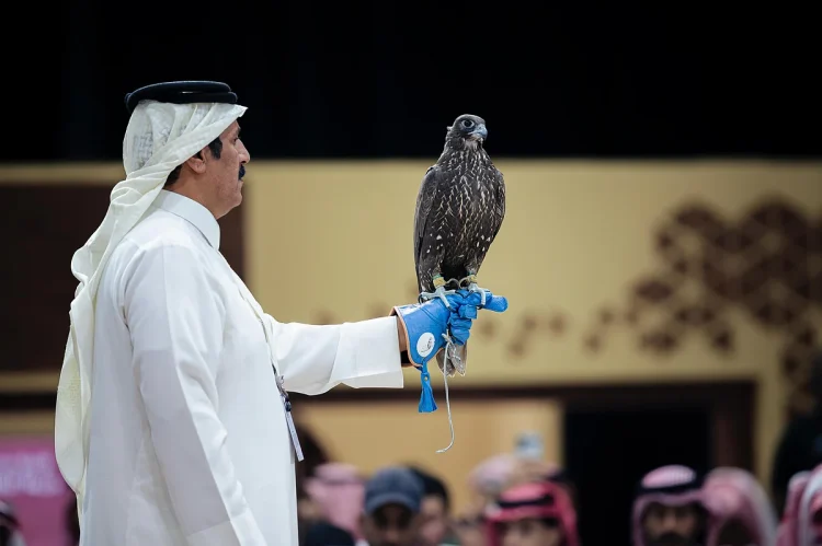 بيع صقرين بـ180 ألف ريال في الليلة الأولى لمنصة المزاد الدولي لمزارع إنتاج الصقور 2025