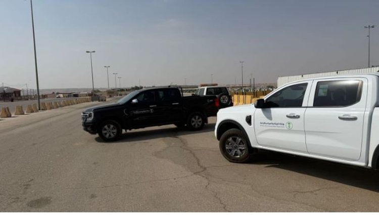 «بيئة الرياض» توقف مزادًا غير نظامي للإبل