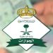 "الجوازات": إصدار 17.430 قرارًا إداريًا بحق مخالفين لأنظمة الإقامة والعمل وأمن الحدود