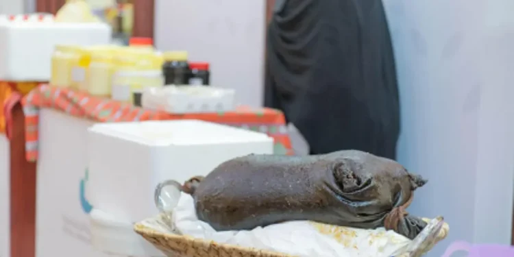 "السمن البري" في الحدود الشمالية.. منتج تراثي تدعمه الثروة الحيوانية