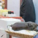 "السمن البري" في الحدود الشمالية.. منتج تراثي تدعمه الثروة الحيوانية