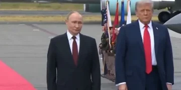 أكاديمي: قمة ألاسكا ثمرة جهود المملكة التي قدمتها لحل النزاعات بين أوكرانيا وروسيا