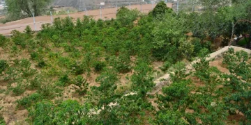 إطلاق مبادرة لتعزيز التنمية الزراعية والسياحة البيئية في عسير