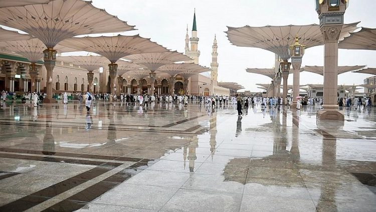 الأرصاد تنبه من أمطار غزيرة ورعدية على المدينة المنورة وحائل وشرورة 