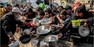 الأمم المتحدة: وفاة 8 أشخاص في غزة خلال 24 ساعة بسبب سوء التغذية