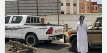 «الأمن البيئي» يضبط مواطنًا لنقله حطبًا محليًا في عسير