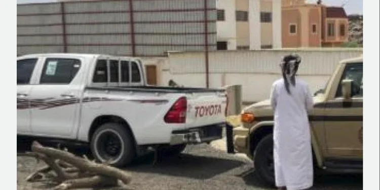 «الأمن البيئي» يضبط مواطنًا لنقله حطبًا محليًا في عسير