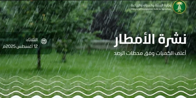 الباحة الأعلى كمية بـ 43.8 ملم.. «البيئة» ترصد هطول أمطار في 6 مناطق