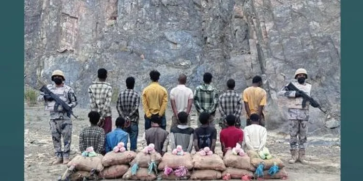 القبض على 14 مخالفا بمنطقة عسير لتهريبهم 315 كيلوجرامًا من نبات القات