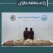 القبض على مخالفين لتهريبهما 90 كيلوجرامًا من القات بمنطقة جازان